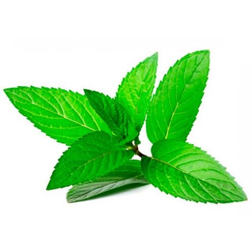 aceite de menta na crema ZXCVBNMQWORT